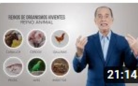 Curso 10 : Suplementos de ayuda para el metabolismo